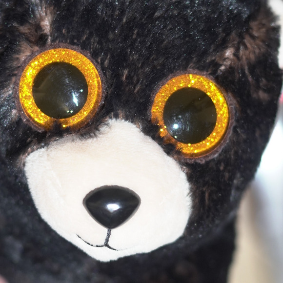 TY Medium Classic Plush KODI Kodiak Black Bear Medium 10" NEW Stuffed Animal Toy - Picture 15 of 16